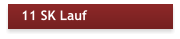 11 SK Lauf