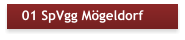 01 SpVgg Mögeldorf