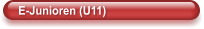 E-Junioren (U11)